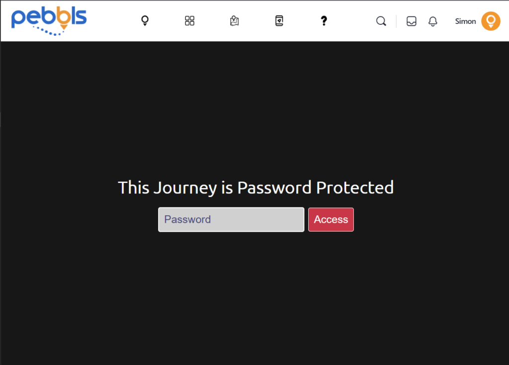 Password protected journey preview
